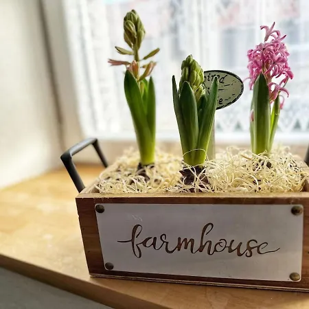 Landhof Riehlingshoehe * Kißlegg