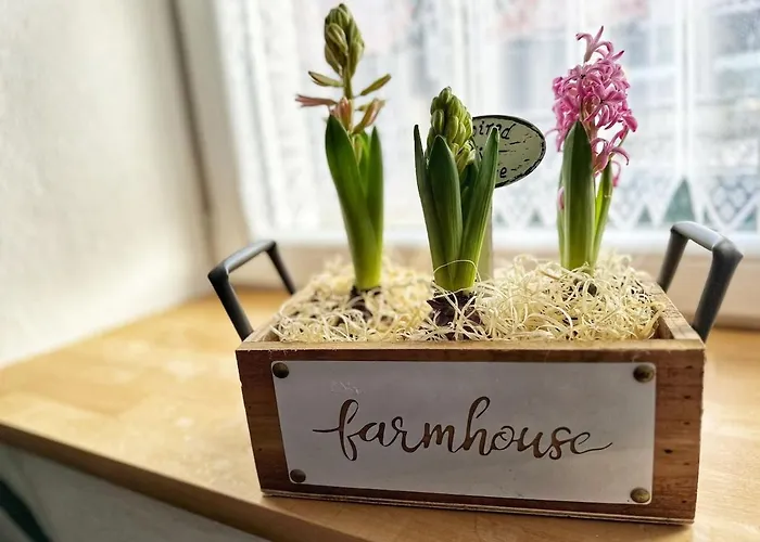 Landhof Riehlingshoehe * Kisslegg